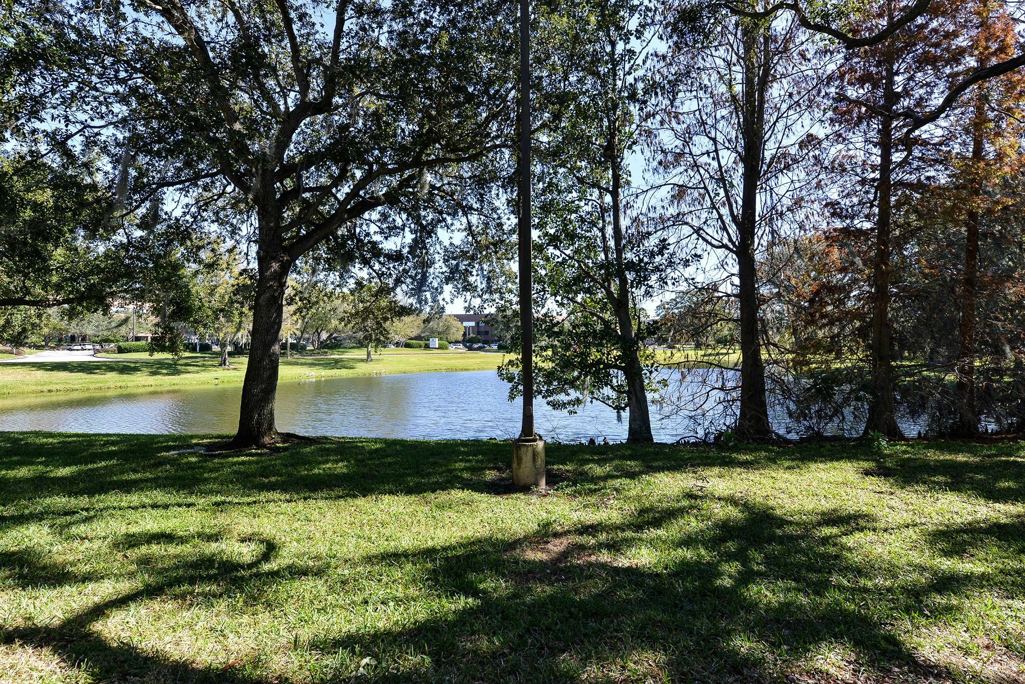 Clarion Pointe Tampa-Brandon Near Fairgrounds And Casino Hotel Mango Bagian luar foto